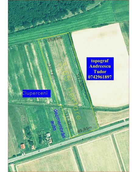 3.65 hectare teren partial intravilan Ciuperceni de vanzare, front 100 m la asfalt, ceas curent trifazic, construibil, plat - 8