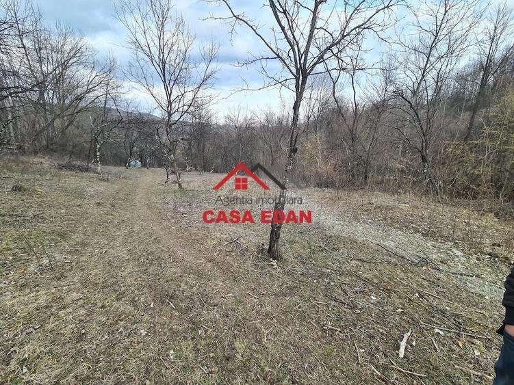 Teren extravilan in Provita--3448mp-12.000e - 4