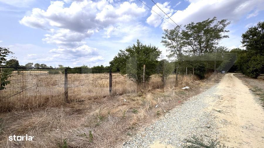 Teren EV si IV cu casa, 29.600 mp, utilitati si acces facil, Albesti - 3