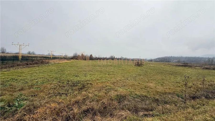 Parcele de teren industrial, Tautii Magheraus - 6