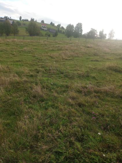 Vand teren intravilan si extravilan Sat Maguri - 6