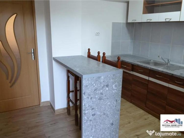 Apartament 1 Camera Mobilat si Utilat de Zona Dambu Pietros - 5