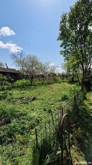 Inchiriez casa sat Gurbanesti, judet Calarasi Pret 800 Ron lunar - 4