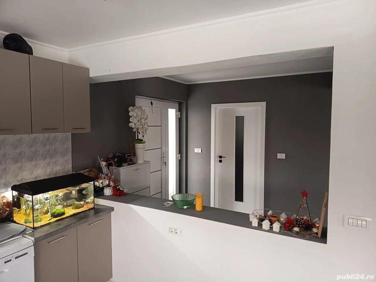 Casa individuala 4 camere - Peciu Nou - 1007 mp teren - 6