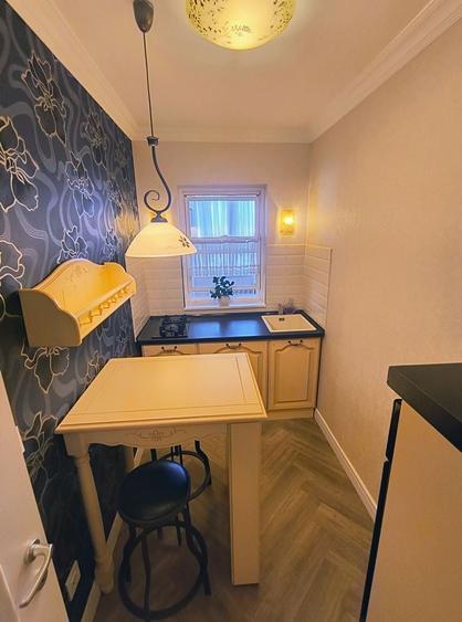 Garsoniera Ion Mihalache- Titulescu- Banu Manta - 9