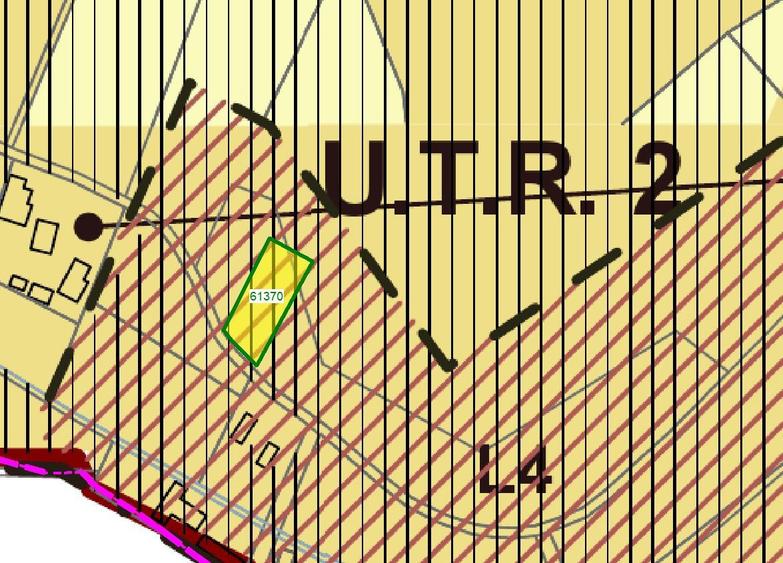 Teren intravilan 867 mp Paleu, zona str. Padurii zona Oncea - 1