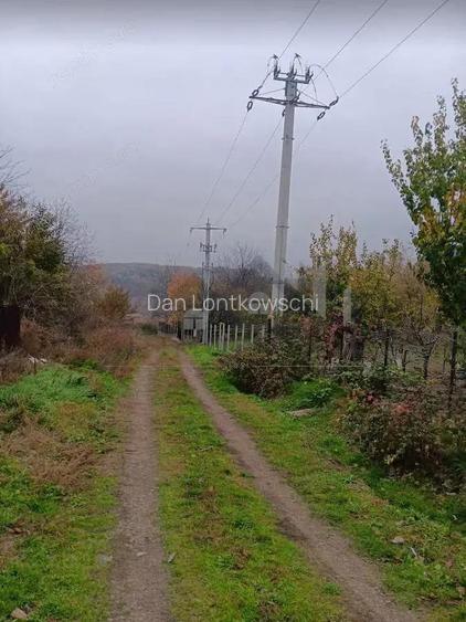 Valea ursului, TEREN 1000mp. utilitati la limita terenului