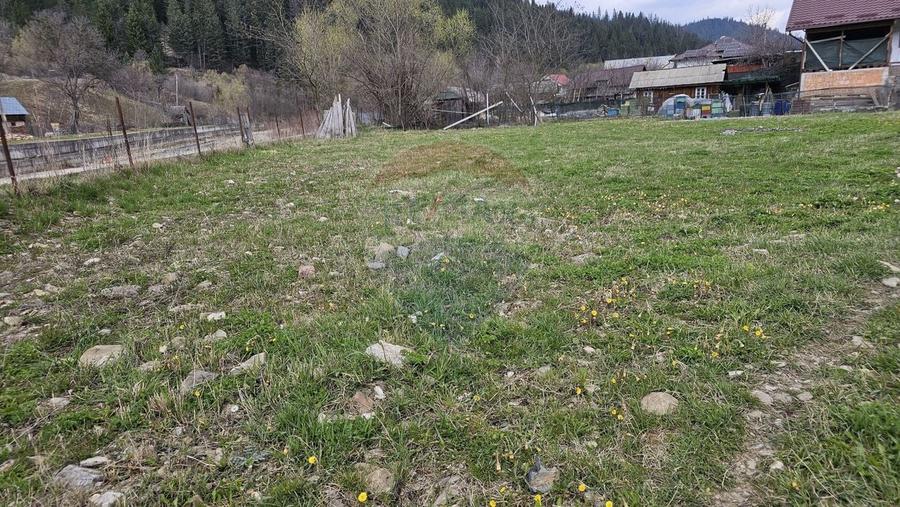 Teren 1,520mp Hangu / Strada Principala - 7