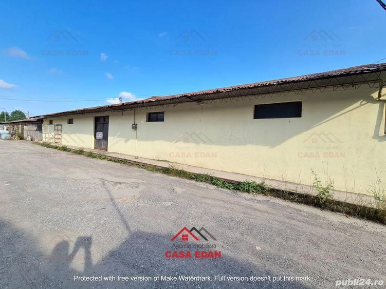 Hala in Campina--280 mp--800e - 6