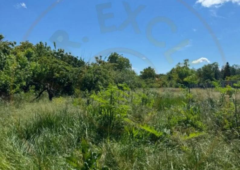 Teren Snagov Ideal pentru dezvoltare reziden?iala sau - 1