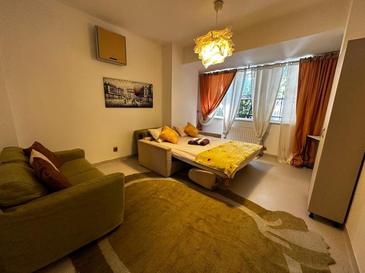 Vila individuala Victoriei pretabil birouri clinica restaurant rezidenta - 9