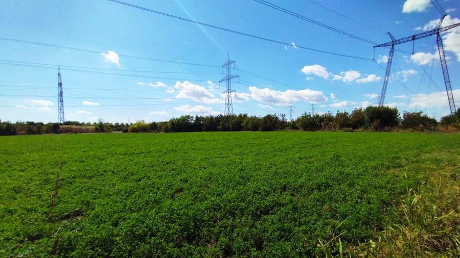 MEGA OCAZIE TEREN INTRAVILAN INDUSTRIAL 13652 MP DRUMUL LUNCA CETATII 42 E/MP - 5