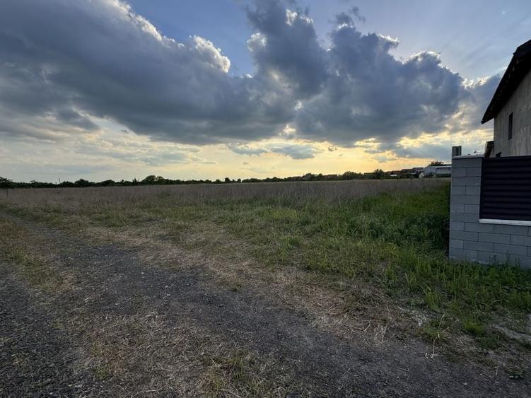 Teren Intravilan Becicherecu Mic ,776 mp,Fs. 17,5m - 1