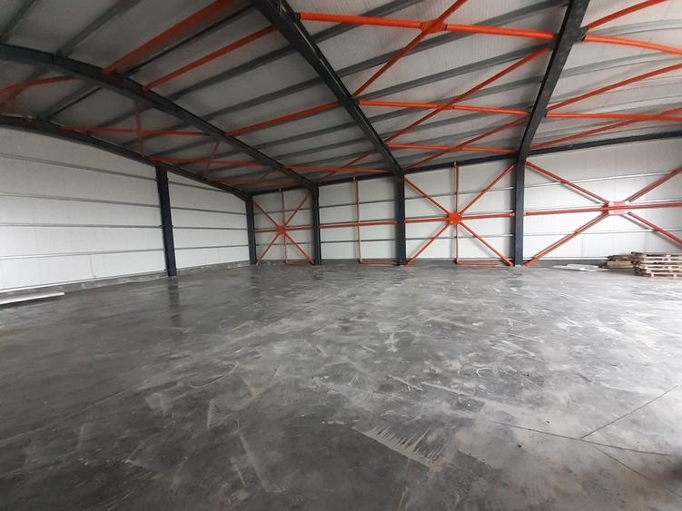 Hala noua in zona Drumul Intre Tarlale - 2