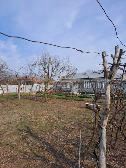 Casa Bordesca Noua - 2