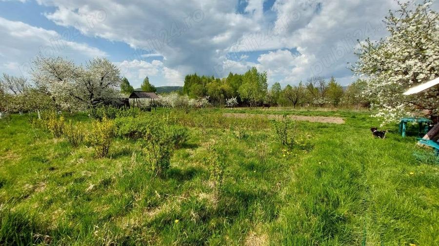 Teren de 5000 mp, în Pietroasa