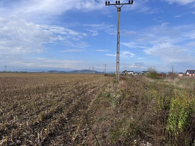 Teren Construcții intravilan de 52000 mp, în Tărlungeni
