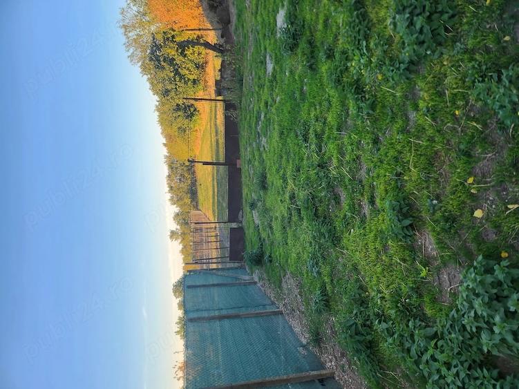 Casă cu 4 camere cu Teren 1000 Mp în Ianova