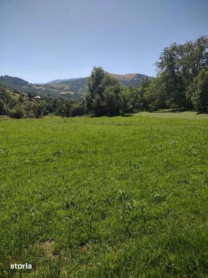 Teren de 1986 mp, în Poieni