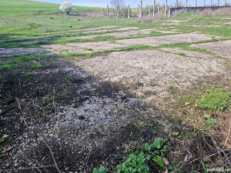 Teren de 15000 mp, în Cămărașu
