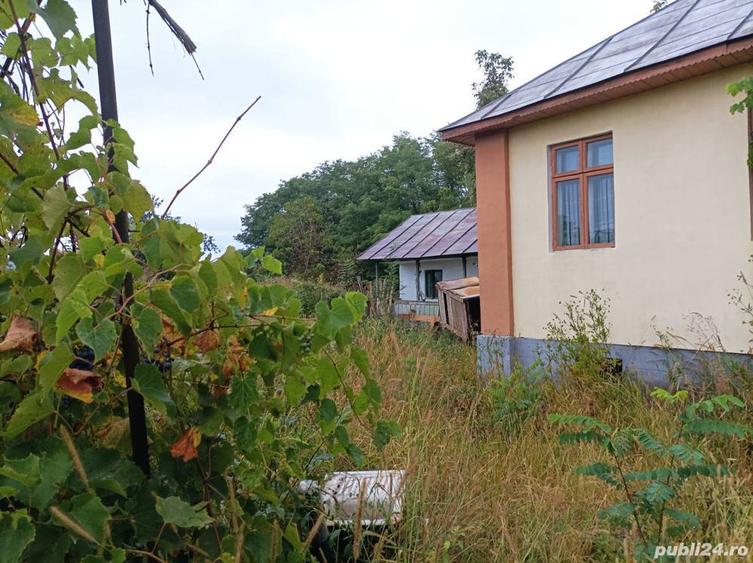 Casa si teren in jude?ul Valcea comuna Lade?ti sat Chirice?ti - 9