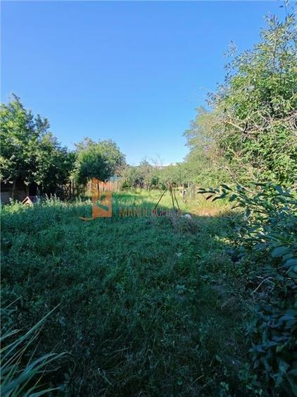 Teren intravilan + casa zona Fintesti - 24