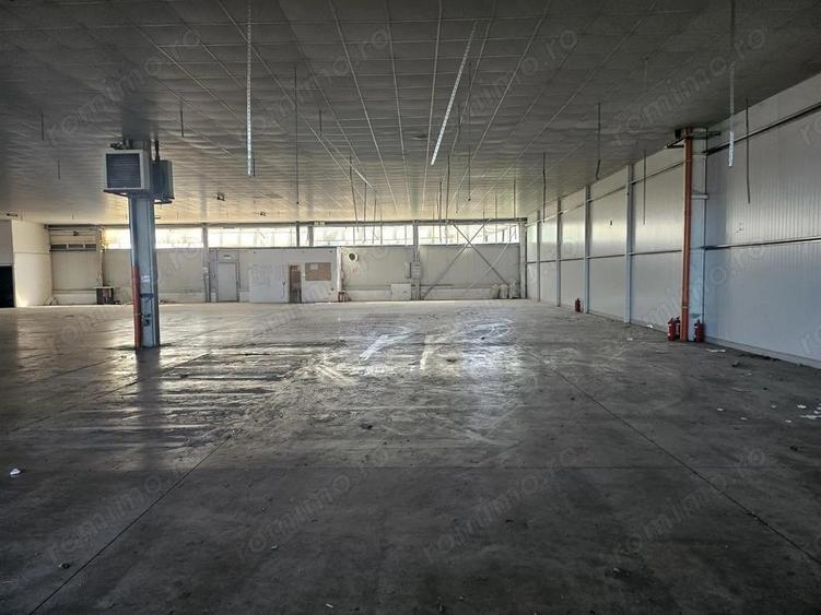 Hala Calea Lugojului 1400 mp 6000 euro - 2