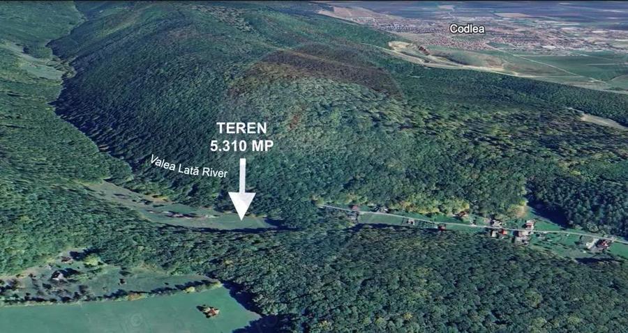 Teren de vanzare Colonia 1 Mai, 5.310 mp, ideal pentru investi?ie - 10