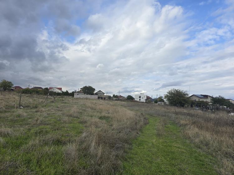 Teren de vanzare in Ovidiu - 3