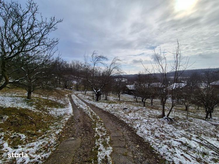 Mosia boiereasca din varf de deal, Scorteni - Prahova, comision 0% - 3