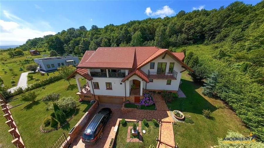 FILM! Sophisticated villa in an exclusive natural setting, Pestisu Mic, Valea Na - 3
