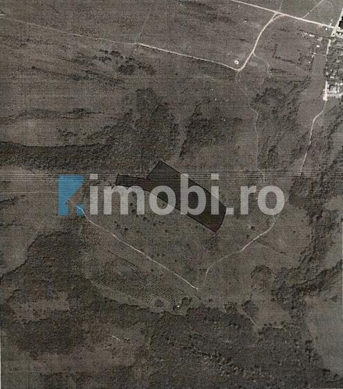 Teren Intravilan, 19400mp, zona locuinte colective/blocuri, zona Terra Floresti - 3