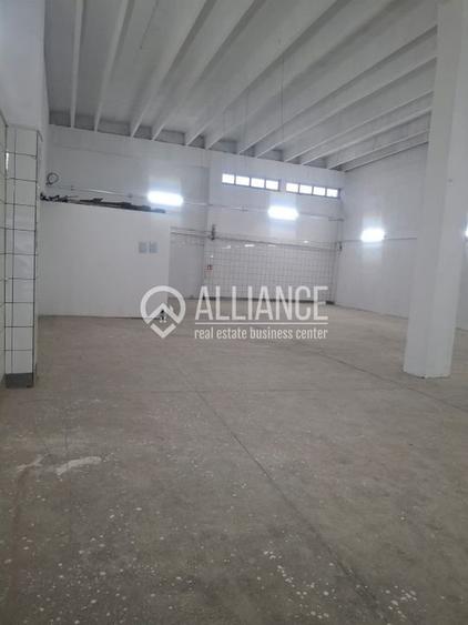 ZONA INDUSTRIALA (COD04)-Hala 270 mp ideal service auto - 3