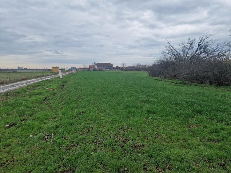 Fundulea Teren 1000 mp 25 min Bucuresti Deschidere 55m - 1