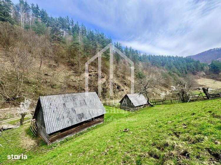 Teren intravilan + faneata, ideal pentru investitie - Rau Sadului - 7