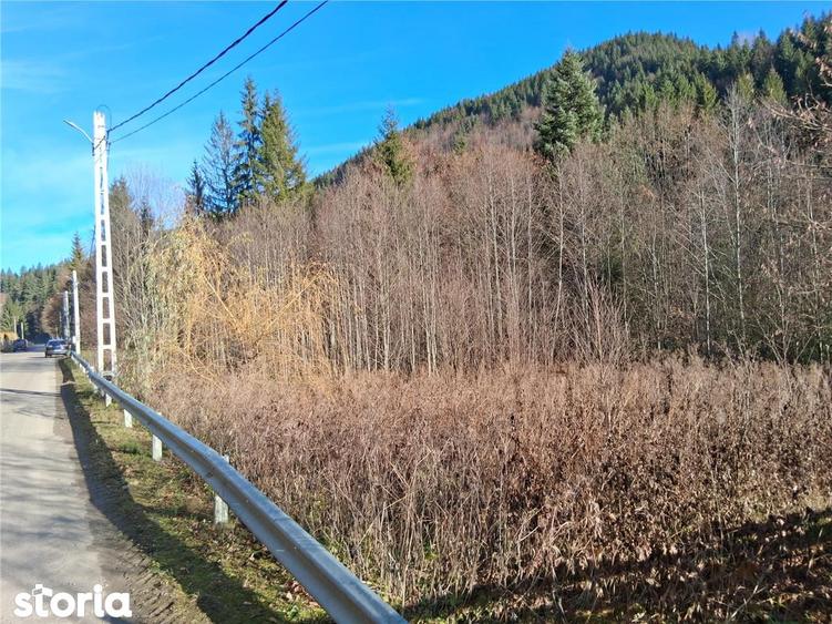 Vand teren in Brates, Neamt, cu iesire la raul Tarcau - 2