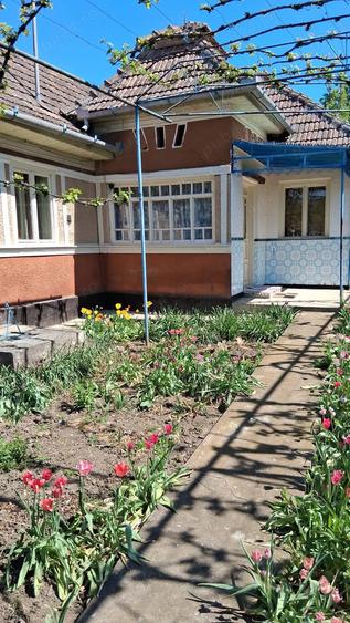 Casa de vanzare in comuna Valea Larga, jud. Mures. - 2