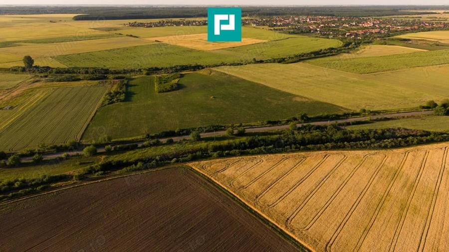 TEREN EXTRAVILAN DE 42.200 MP SECUSIGIU - 8