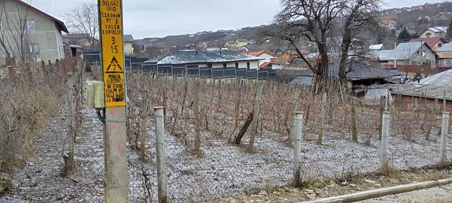 Teren ideal casa Valea Lupului 842 mp - 1