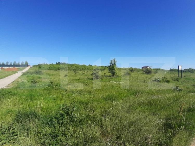 Teren intravilan 31.000 mp, zona Hanul Doctorului - 1