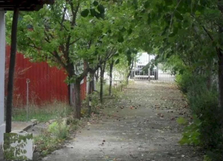 Teren la 35 km de Bucuresti - Izvorani - Ciolpani - 9