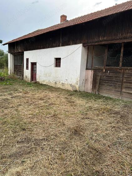 Vand casa in Sculia,Ora?ul Gataia,Jud Timi? (2158mp) - 7
