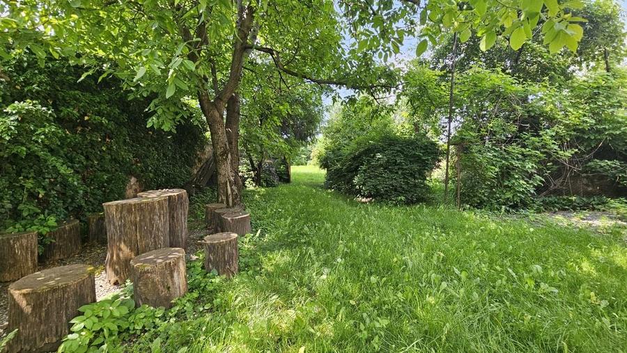 Cristian aproape de Primarie casa saseasca teren 1400 mp - 4