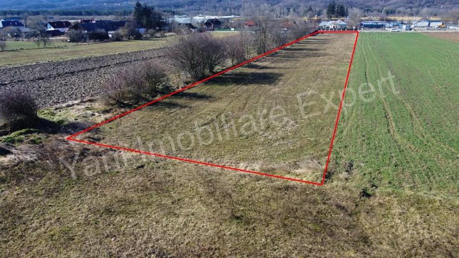 Teren de vanzare in comuna Baicule?ti, jude? Arge?. - 5