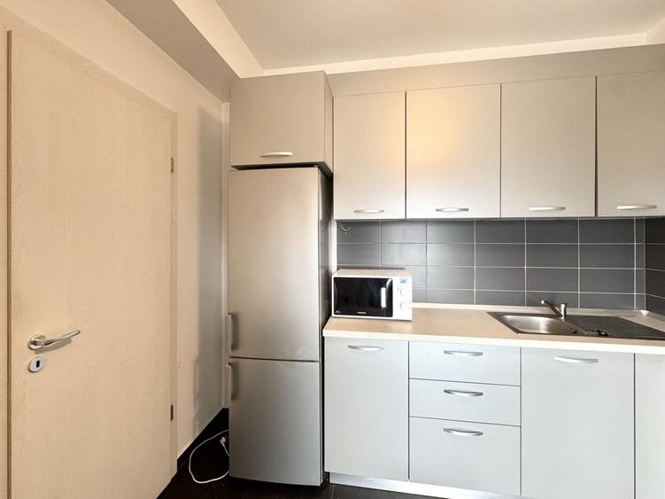 Studio cochet cu terasa– ideal pentru investiție,  Lipovei - Pădure - 12