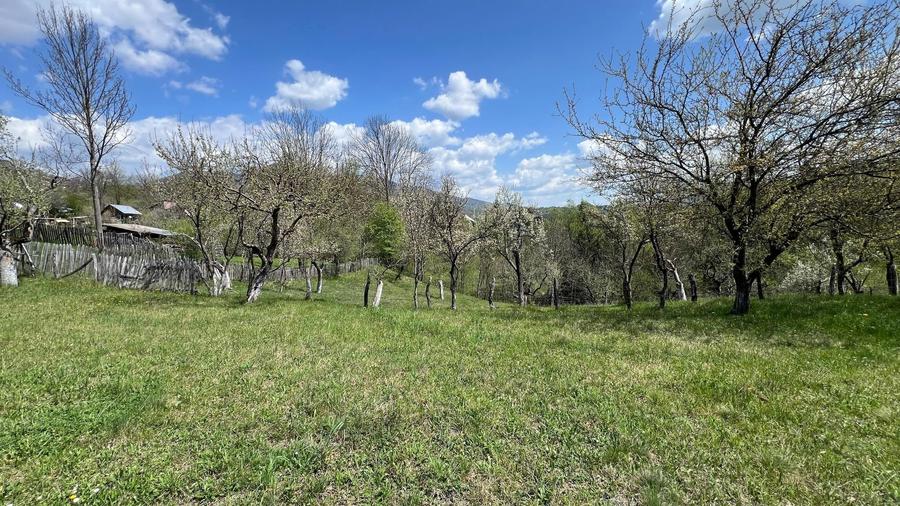 Conac 10 camere | renovat integral | Arefu | Baraj Vidraru - 8