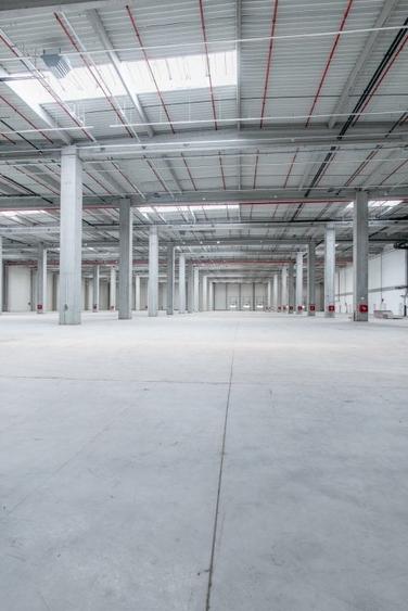 Spațiu industrial, 249500 mp în Chitila - 3