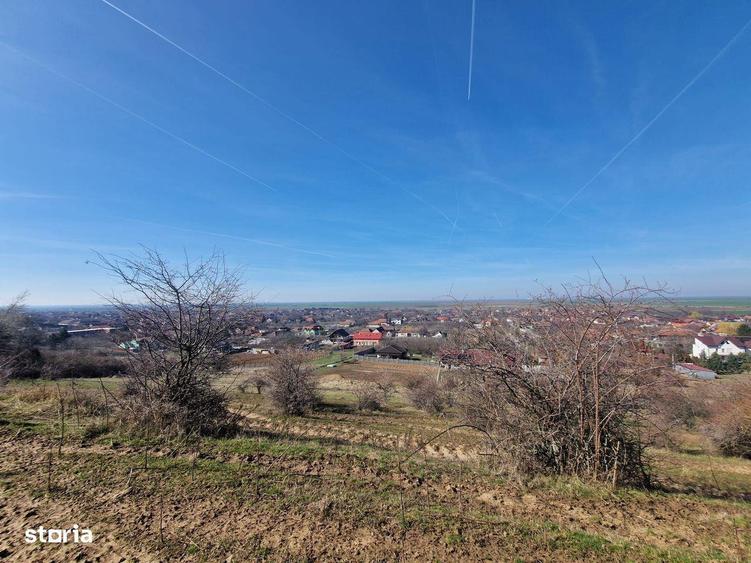 Teren extravilan, zona si priveliste superba, Cuvin - 2