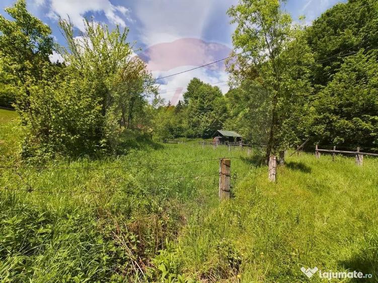 Comision 0%! Proprietate in natura, priveliste superba, S... - 9