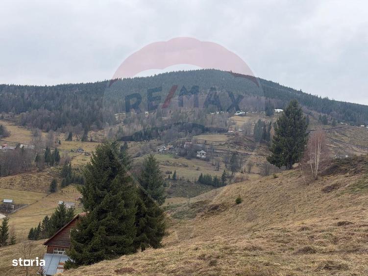 Teren de vanzare in inima Apusenilor 6.500 mp Arieseni - 12